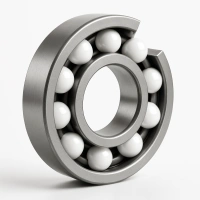 206S-HNCR-HYB 200 & 300 Series HNCR & Stainless Hybrid Ceramic Bearings