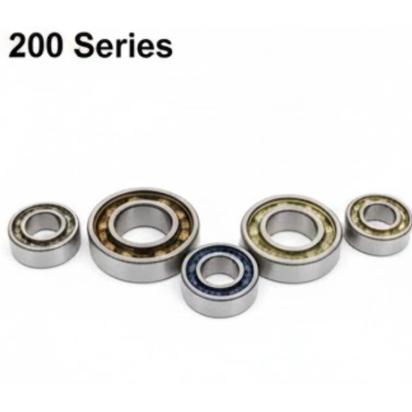 206N 200 Series Snap Ring Bearings
