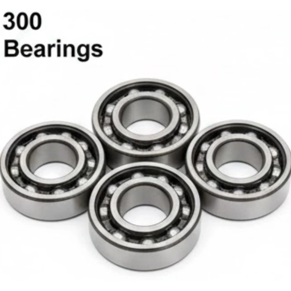 306 NR 300 Series Snap Ring Bearings