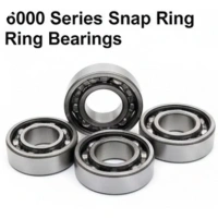 6000 Series Snap Ring Bearings
