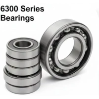 6302-2RSHN/VT245 6300 Series Snap Ring Bearings