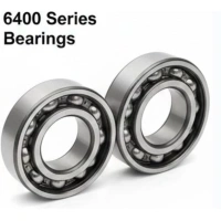 6411 NR 6400 Series Snap Ring Bearings