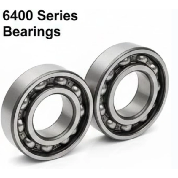 6411 N 6400 Series Snap Ring Bearings