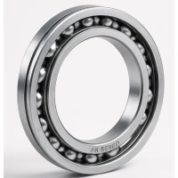 ER1038 ER Series Thin Section Ball Bearings