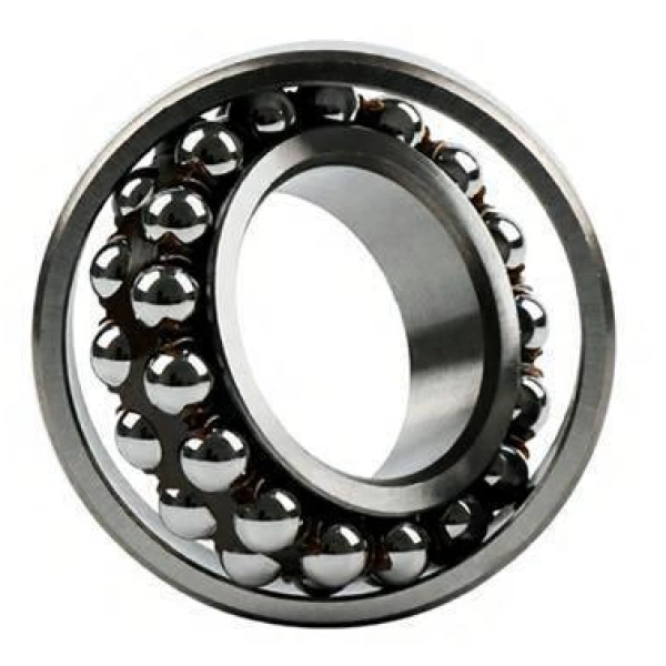 108 TN9 Miniature Self-Aligning Ball Bearings