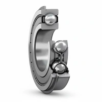 Snap Ring Deep Groove Ball Bearings