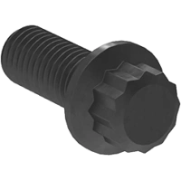 0806FA00112 12-Point Screws