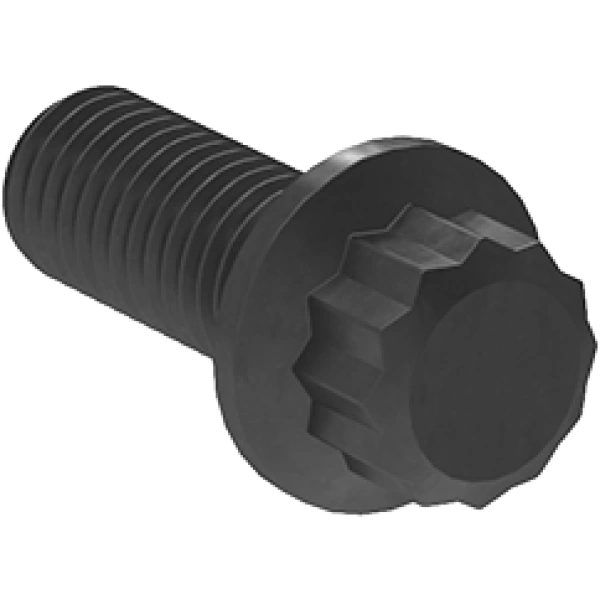 0806FA00113 12-Point Screws