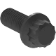 0806FA00113 12-Point Screws