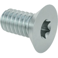 0343FA00001 Alloy Steel Torx Flat Head Screws