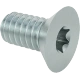 0343FA00003 Alloy Steel Torx Flat Head Screws