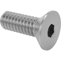 0319FA00006 Brass Hex Drive Flat Head Screws