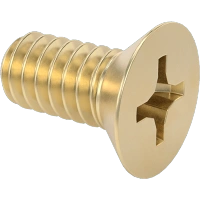 0330FA00001 Brass Phillips Flat Head Screws