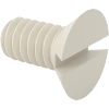 Plastic Slotted Flat Head Screws