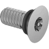 Sealing Tamper-Resistant Torx Flat Head Screws