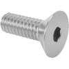Stainless Steel Hex Drive Flat Head Screws