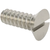 Stainless Steel Slotted Flat Head Screws
