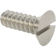 0345FA00001 Stainless Steel Slotted Flat Head Screws