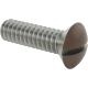 0363FA00002 Steel Slotted Oval Head Screws