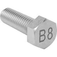 0262FA00001 18-8 Stainless Steel Heavy Hex Head Screws for High-Pressure Applications