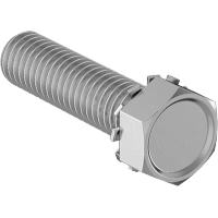 0288FA00001 Hex Head Screws with Lock Washer