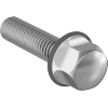 Sanitary Hex Head Screws