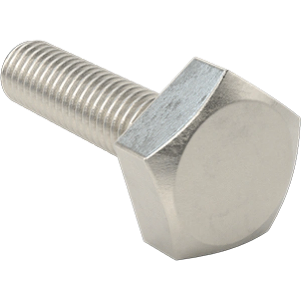 0843FA00001 Pentagon Head Screws