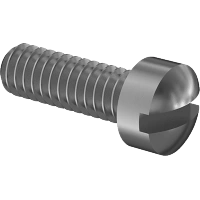 0144FA00001 Brass Fillister Head Slotted Screws