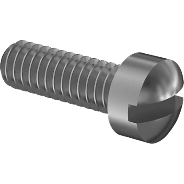 0144FA00001 Brass Fillister Head Slotted Screws