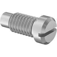 0129FA00161 Extended-Tip Stainless Steel Cheese Head Slotted Screws