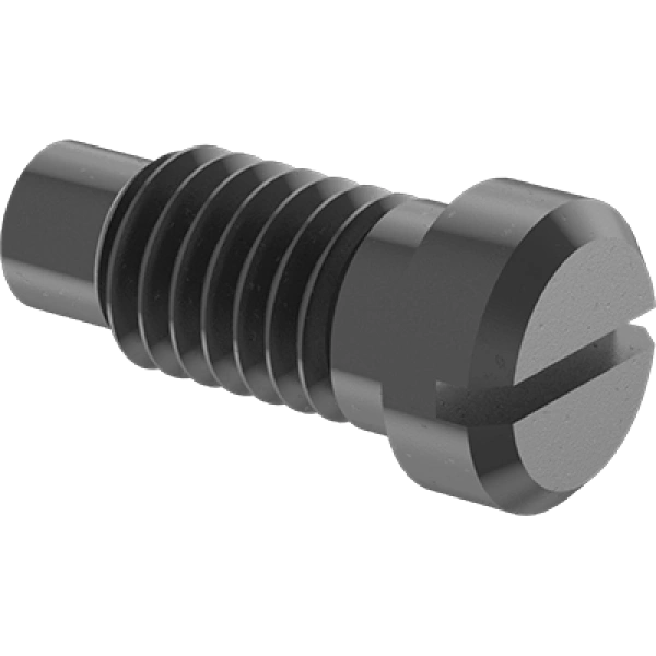 0131FA00014 Extended-Tip Steel Cheese Head Slotted Screws