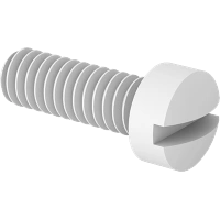 0143FA00001 Plastic Fillister Head Slotted Screws