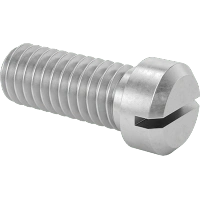 0129FA00001 Stainless Steel Cheese Head Slotted Screws