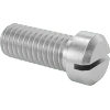 Stainless Steel Cheese Head Slotted Screws