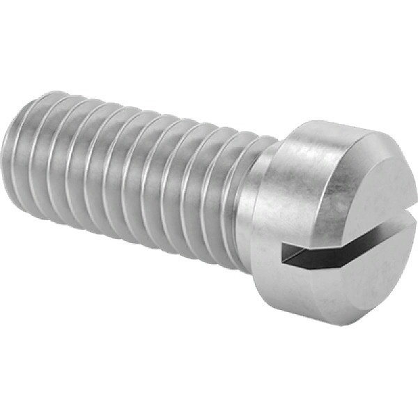 0129FA00001 Stainless Steel Cheese Head Slotted Screws