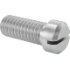 0129FA00001 Stainless Steel Cheese Head Slotted Screws