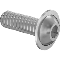 0173FA00001 Stainless Steel Flanged Button Head Hex-Drive Screws