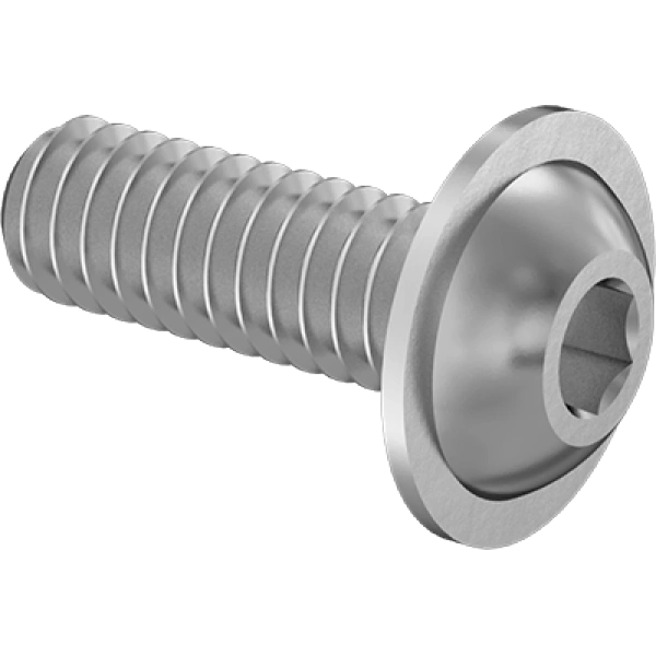 0173FA00003 Stainless Steel Flanged Button Head Hex-Drive Screws