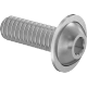0173FA00003 Stainless Steel Flanged Button Head Hex-Drive Screws