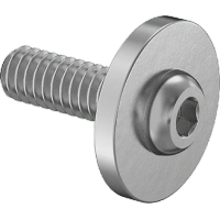 0182FA00001 Stainless Steel Oversized-Flange Button Head Hex-Drive Screws
