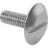 Stainless Steel Oversized Truss Head Slotted Screws