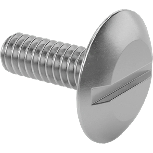0063FA00002 Stainless Steel Oversized Truss Head Slotted Screws