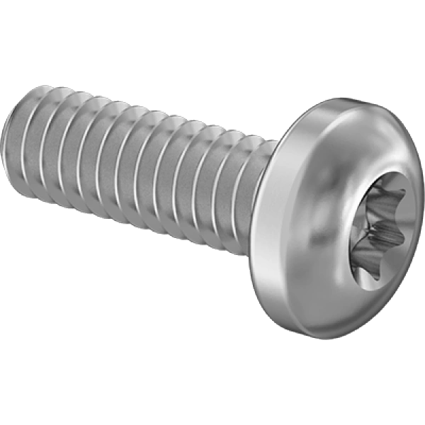 0160FA00002 Stainless Steel Pan Head Torx Screws