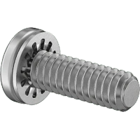0185FA00001 Steel Pan Head Phillips Screws with Internal-Tooth Lock Washer