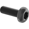 Steel Pan Head Torx Plus Screws