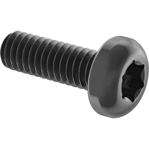 0163FA00025 Steel Pan Head Torx Plus Screws