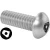 Tamper-Resistant Asymmetrical-Drive Stainless Steel Button Head Screws