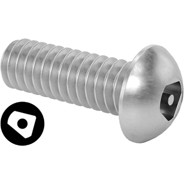 0219FA00001 Tamper-Resistant Asymmetrical-Drive Stainless Steel Button Head Screws