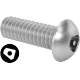 0219FA00001 Tamper-Resistant Asymmetrical-Drive Stainless Steel Button Head Screws