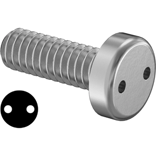 0210FA00022 Tamper-Resistant Drilled Spanner Stainless Steel Pan Head Screws